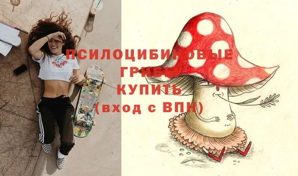 спиды Верхний Тагил