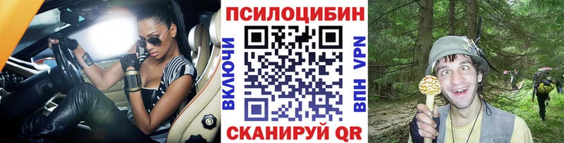 Галлюциногенные грибы Psilocybine cubensis  наркотики  Сочи 